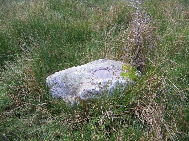 Gortavoher (North) (Bullaun Stone) by bawn79