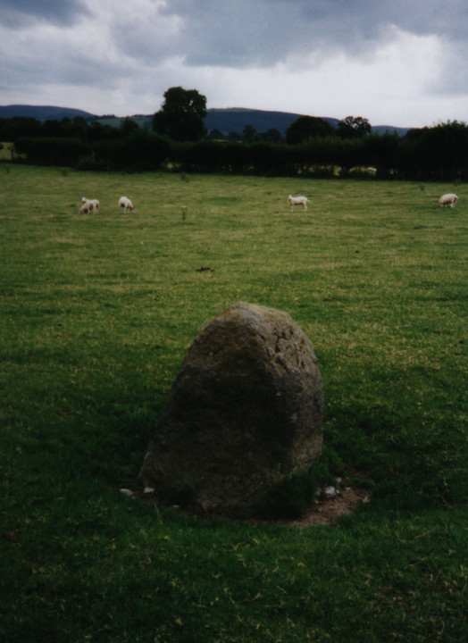 Kinnerton Court Stone I (Standing Stone / Menhir) by thesweetcheat