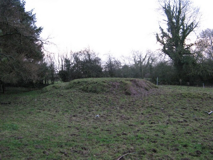 Glenbane (Artificial Mound) by bawn79