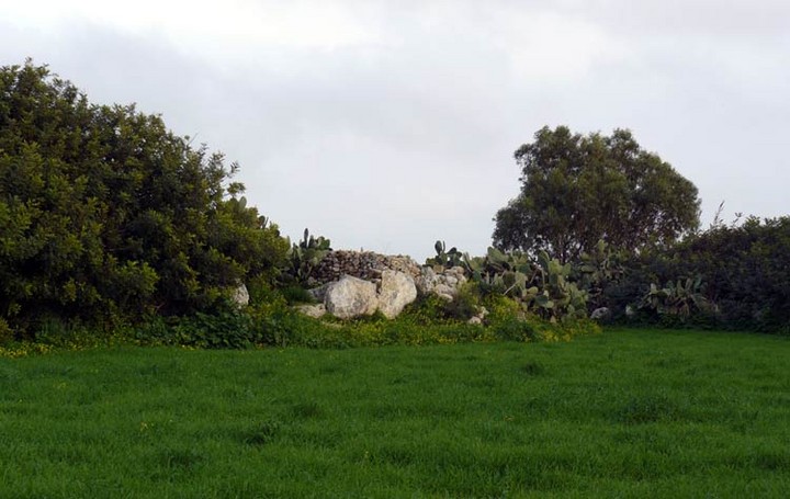 Ta' Marziena (Ancient Temple) by baza
