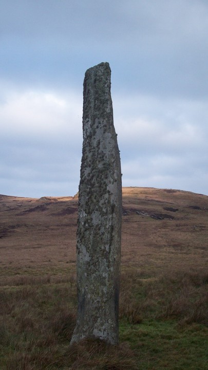 Ballinaby (south) (Standing Stone / Menhir) by bluemagoos