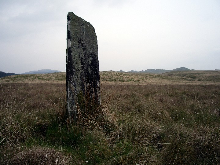 Carron (Standing Stone / Menhir) by Billy Fear