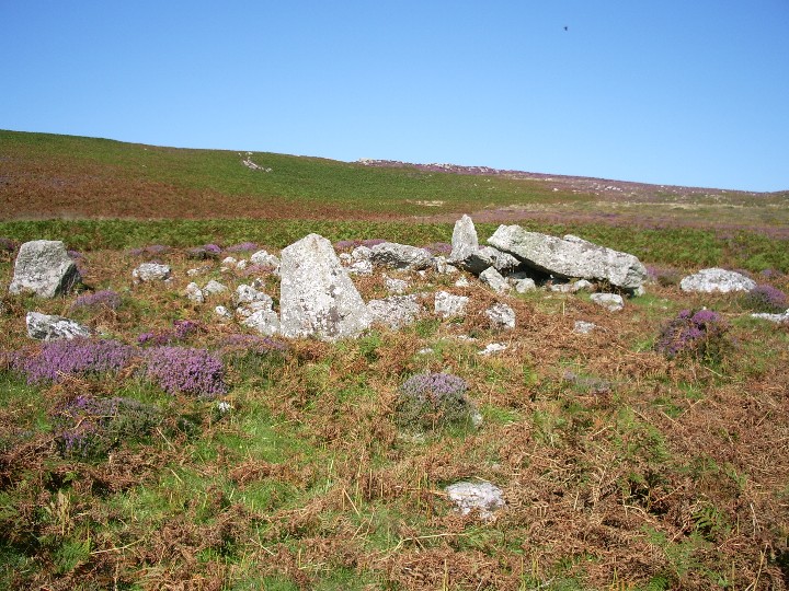 Sweyne Howes (south) (Chambered Tomb) by Billy Fear