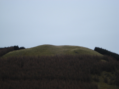 Bodsberry Hill (Hillfort) by ginger tt