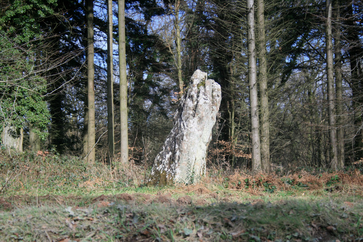 Long Stone (Staunton) (Standing Stone / Menhir) by postman