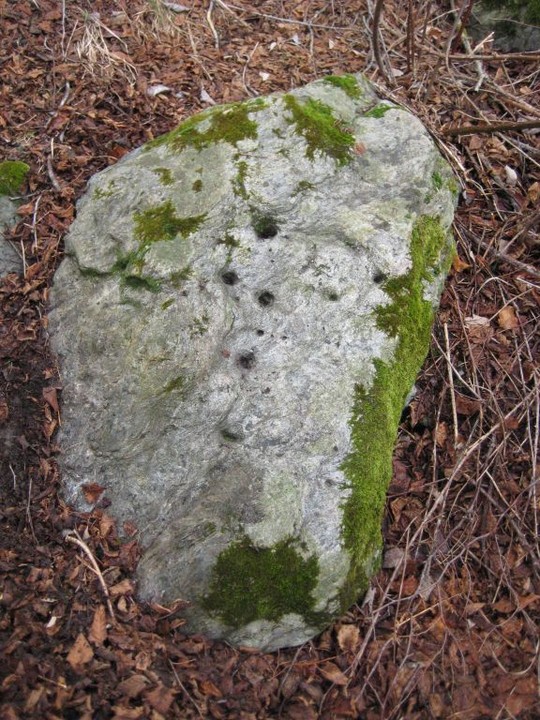 Angela's Rock (Cup Marked Stone) by Ligurian Tommy Leggy