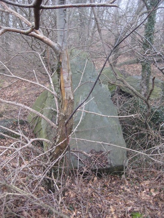 Faie's Menhirs and cupmarked stone(Faires Menhirs) (Standing Stones) by Ligurian Tommy Leggy