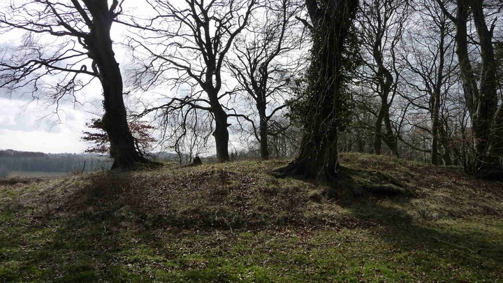 Pole's Wood South (Long Barrow) by thesweetcheat