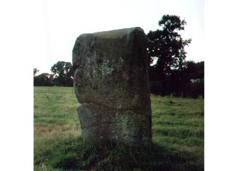 Airthrey Stone (Standing Stone / Menhir) by winterjc