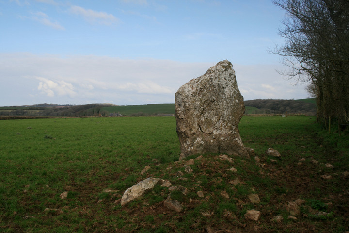 Harold Stone (Standing Stone / Menhir) by postman