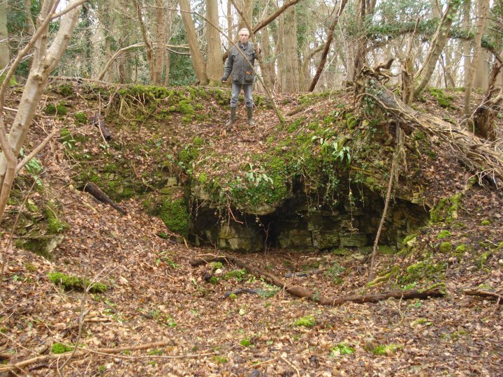Bury Wood Camp (Hillfort) by Chance