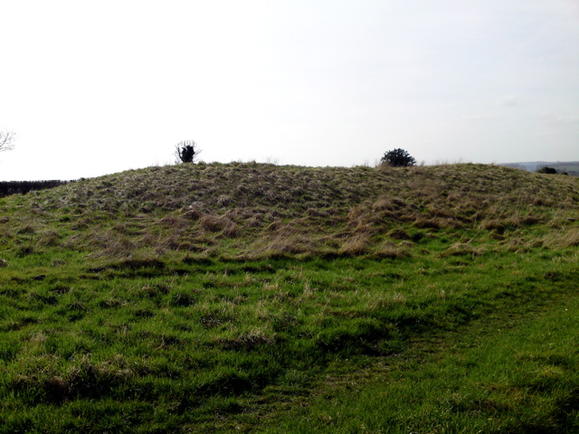Thickthorn Down (South) (Long Barrow) by texlahoma