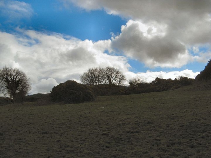Kilfinnane (Artificial Mound) by bawn79