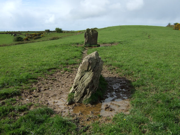 Cashelisky (Standing Stones) by gjrk