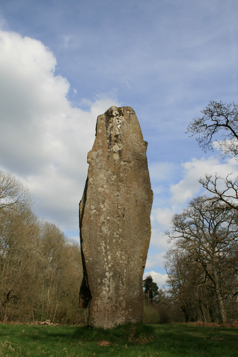 The Fish Stone (Standing Stone / Menhir) by postman