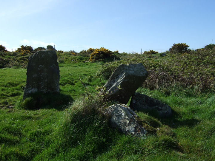 Carrigillihy (Standing Stones) by gjrk