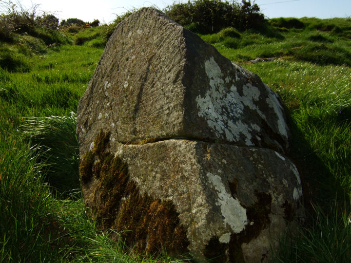 Carrigillihy (Cup Marked Stone) by gjrk