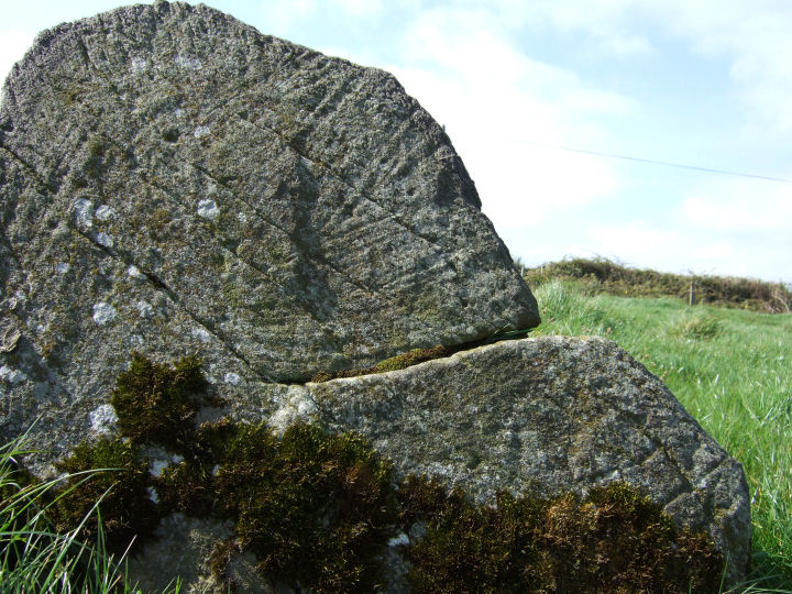 Carrigillihy (Cup Marked Stone) by gjrk
