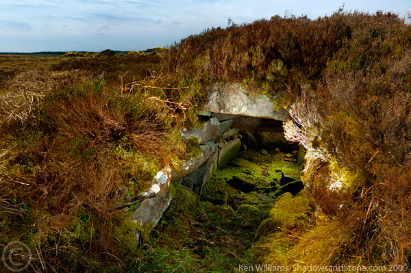 Carrowleagh (Court Tomb) by CianMcLiam