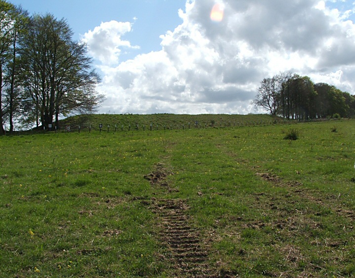 Old Ditch Longbarrow (Long Barrow) by jimit