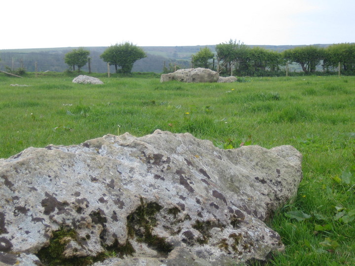 Kingston Russell (Stone Circle) by dorsetlass