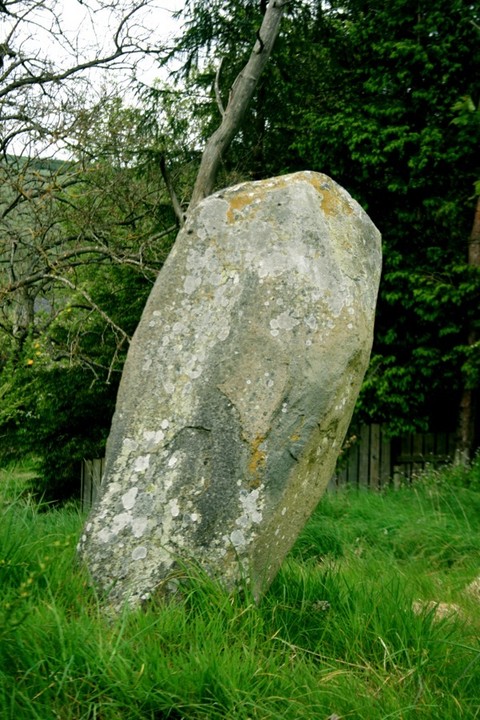 Cardrona Mains (Standing Stone / Menhir) by BigSweetie