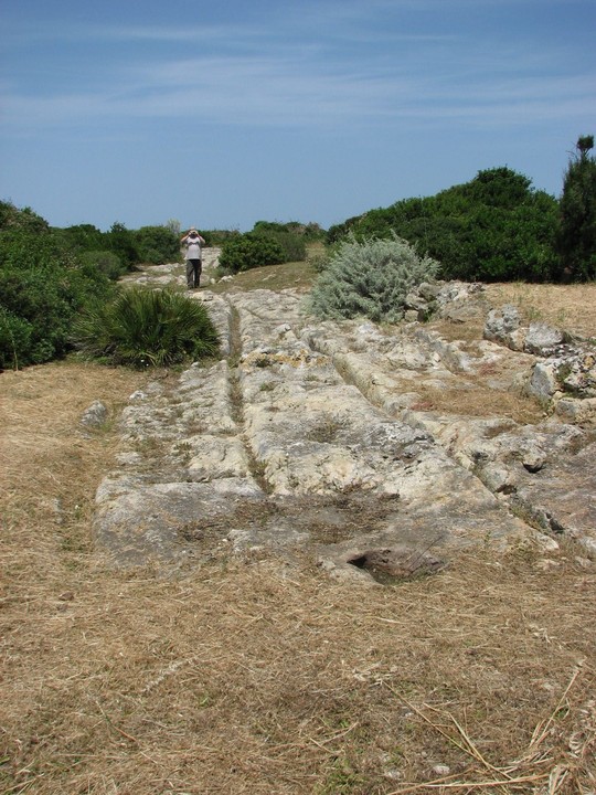 Su Crucifissu Mannu (Megalithic Cemetery) by sals