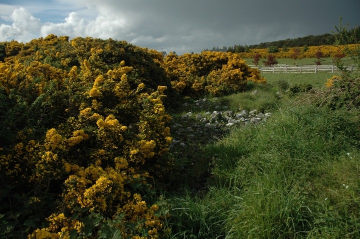 Ballybetagh (Cairn(s)) by ryaner