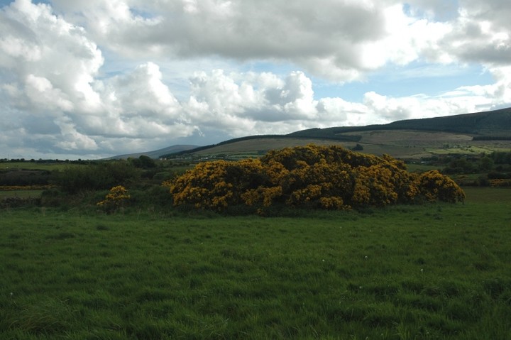 Ballybetagh (Cairn(s)) by ryaner