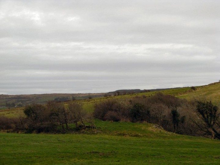 Ballytarsna (Artificial Mound) by bawn79