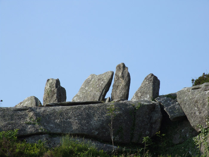 Hawks Tor row (Standing Stones) by Mr Hamhead