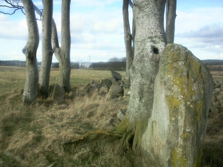 Cairnhall (Stone Circle) by drewbhoy
