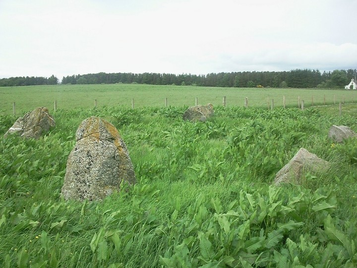 Backhill of Drachlaw (Stone Circle) by drewbhoy