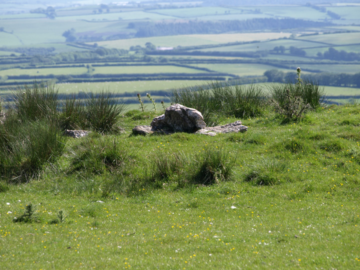 Muxworthy Ridge (Round Barrow(s)) by formicaant