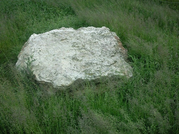 Burreldales (Stone Circle) by drewbhoy
