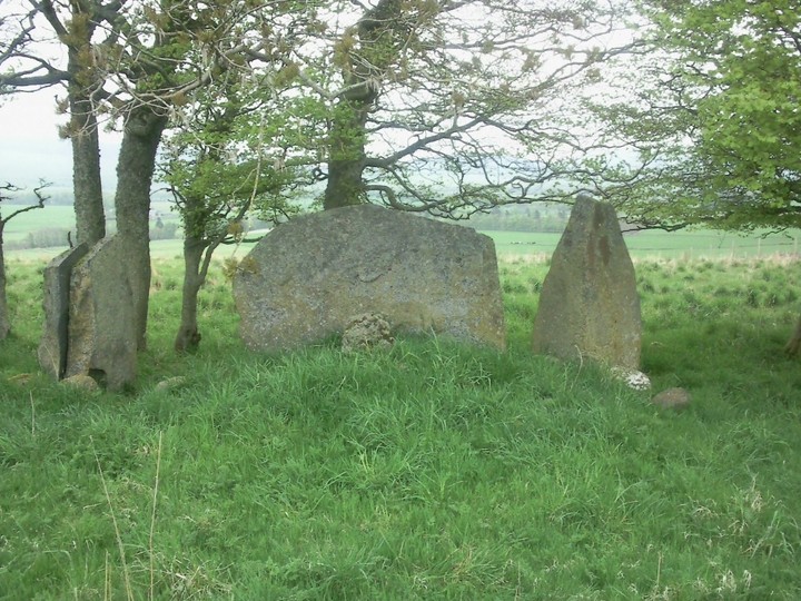 Dunnydeer Farm (Stone Circle) by drewbhoy