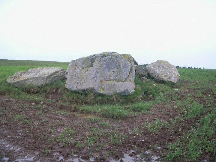 Temple Stones, Millden (Stone Circle) by drewbhoy