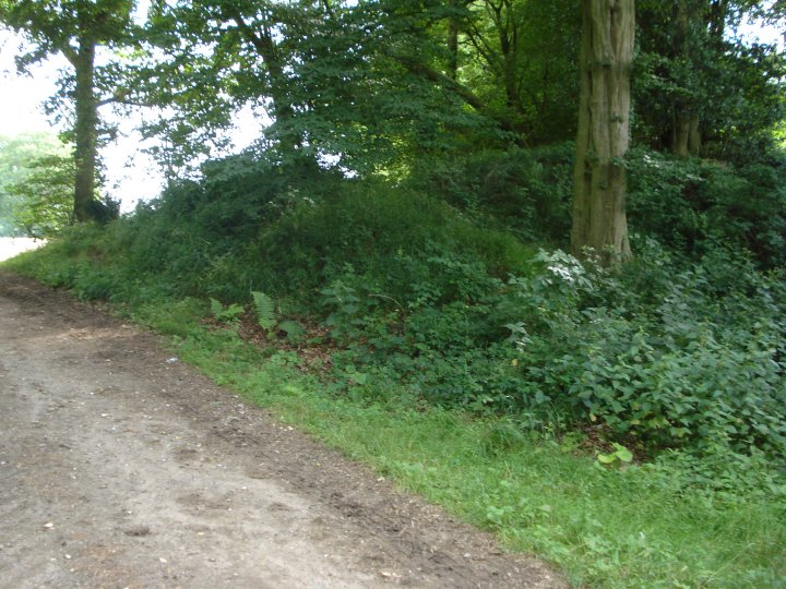 Membury Camp (Hillfort) by Chance