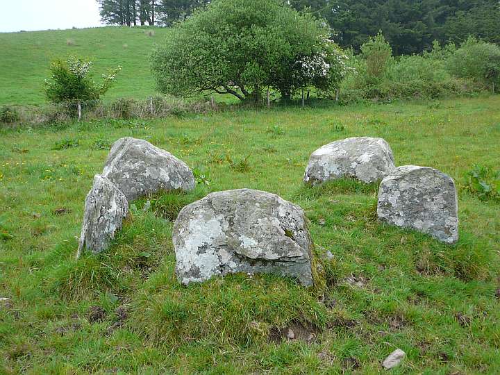 Cappaboy Beg NW (Stone Circle) by Nucleus