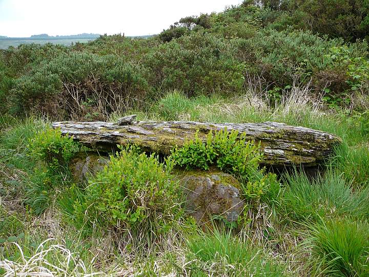 Knockane (Wedge Tomb) by Nucleus
