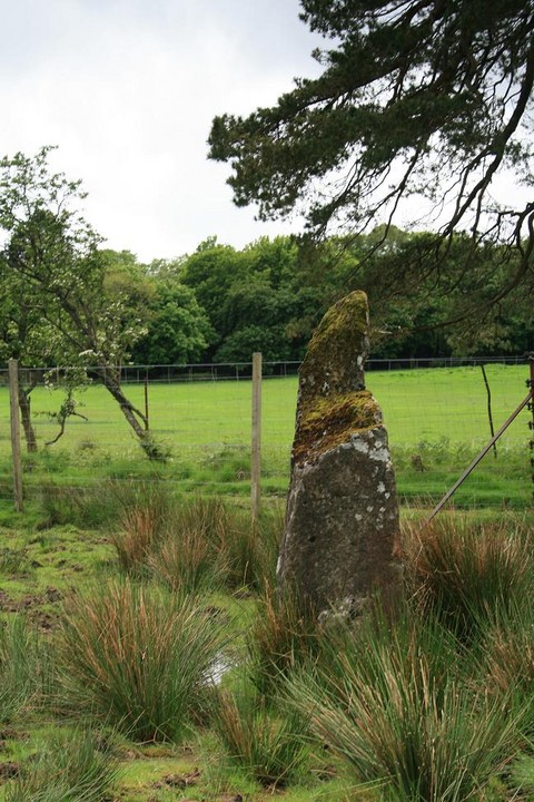 Lochbuie Outlier 2 (Standing Stone / Menhir) by postman