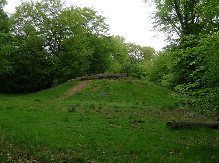 Wentwood Barrows (Round Barrow(s)) by thesweetcheat