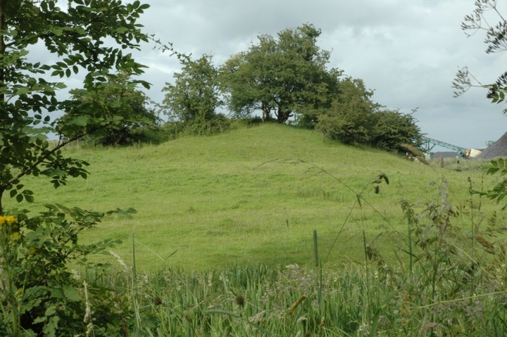 Ballynanoma (Artificial Mound) by ryaner