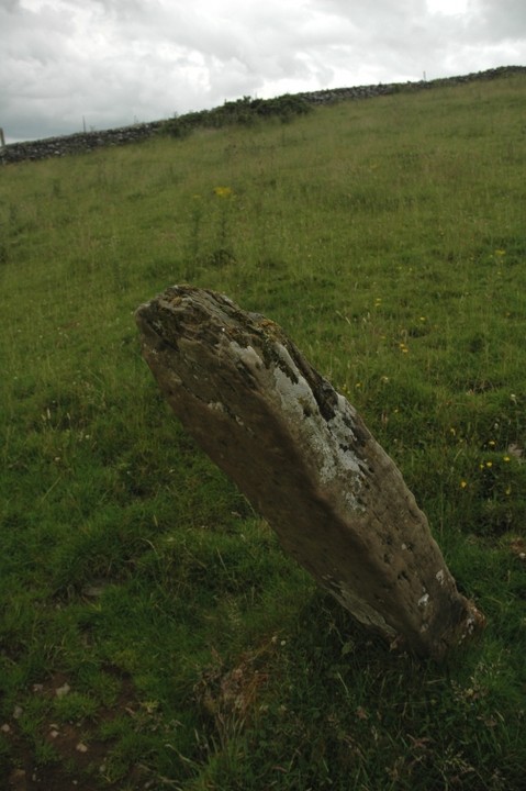 Ballinvally Standing Stone (Standing Stone / Menhir) by ryaner