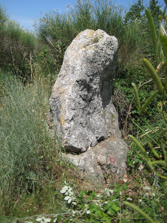 Bastia's Menhir (Standing Stone / Menhir) by Ligurian Tommy Leggy