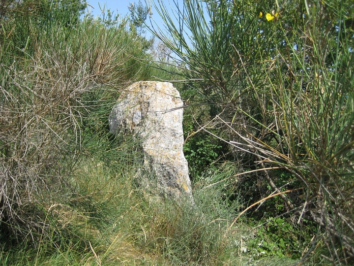 Bastia's Menhir (Standing Stone / Menhir) by Ligurian Tommy Leggy