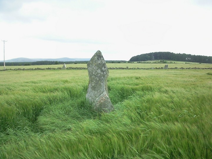 Springhill (Standing Stones) by drewbhoy