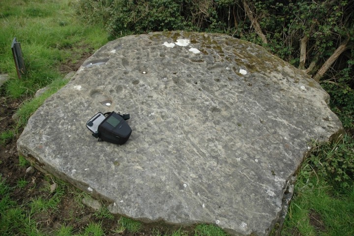 Clonfinlough Stone (Carving) by ryaner