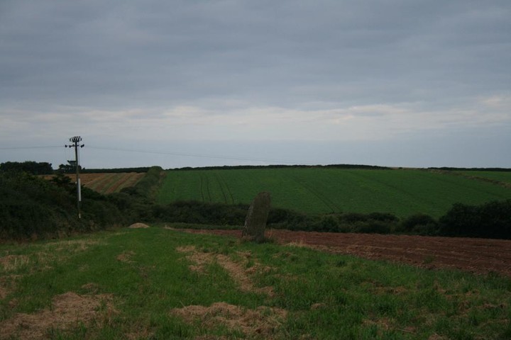The Long Stone (Standing Stone / Menhir) by postman