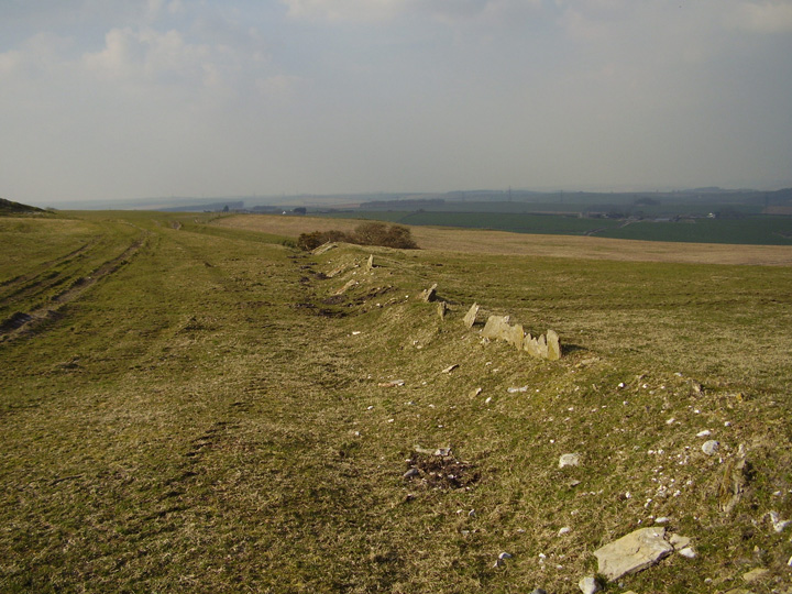 Bronkham Hill (Barrow / Cairn Cemetery) by formicaant